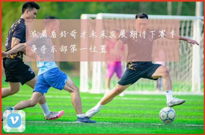 浓眉看好奇才未来发展期待下赛季争夺东部第一位置